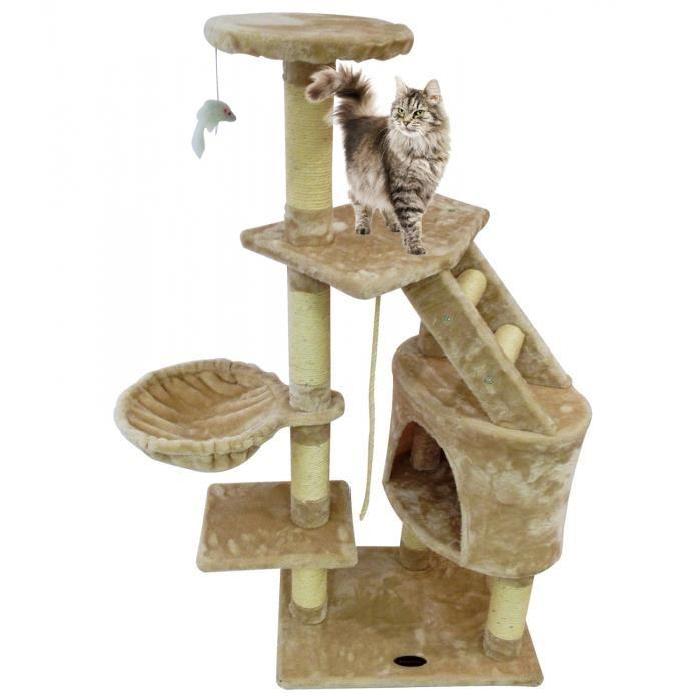 arbre a chat avec griffoir pas cher